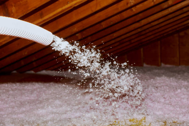 Best Residential Insulation in Edwardsville, KS
